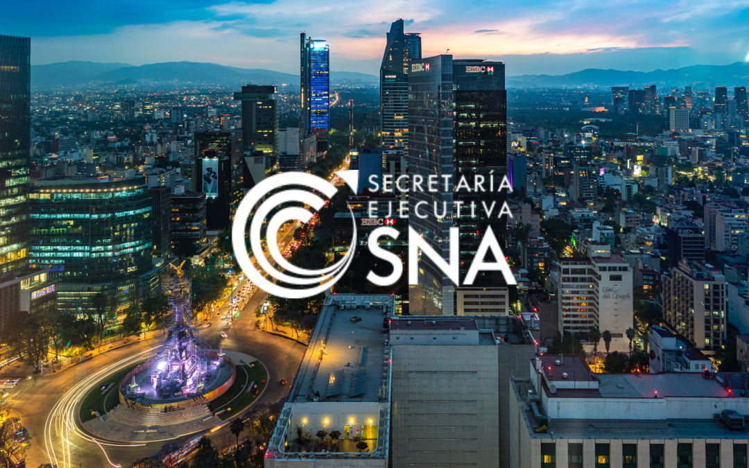 Automatización de la extracción y transformación de datos de contrataciones públicas en México: El caso de SESNA