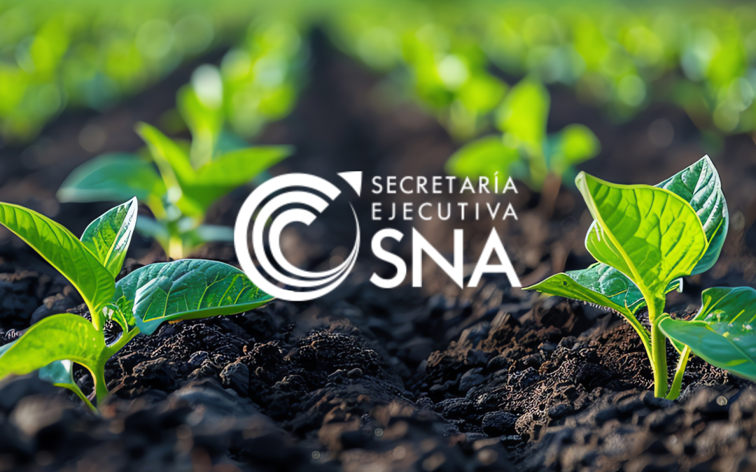 Datos más eficientes y transparentes: la automatización del Programa de Fertilizantes para el Bienestar en México