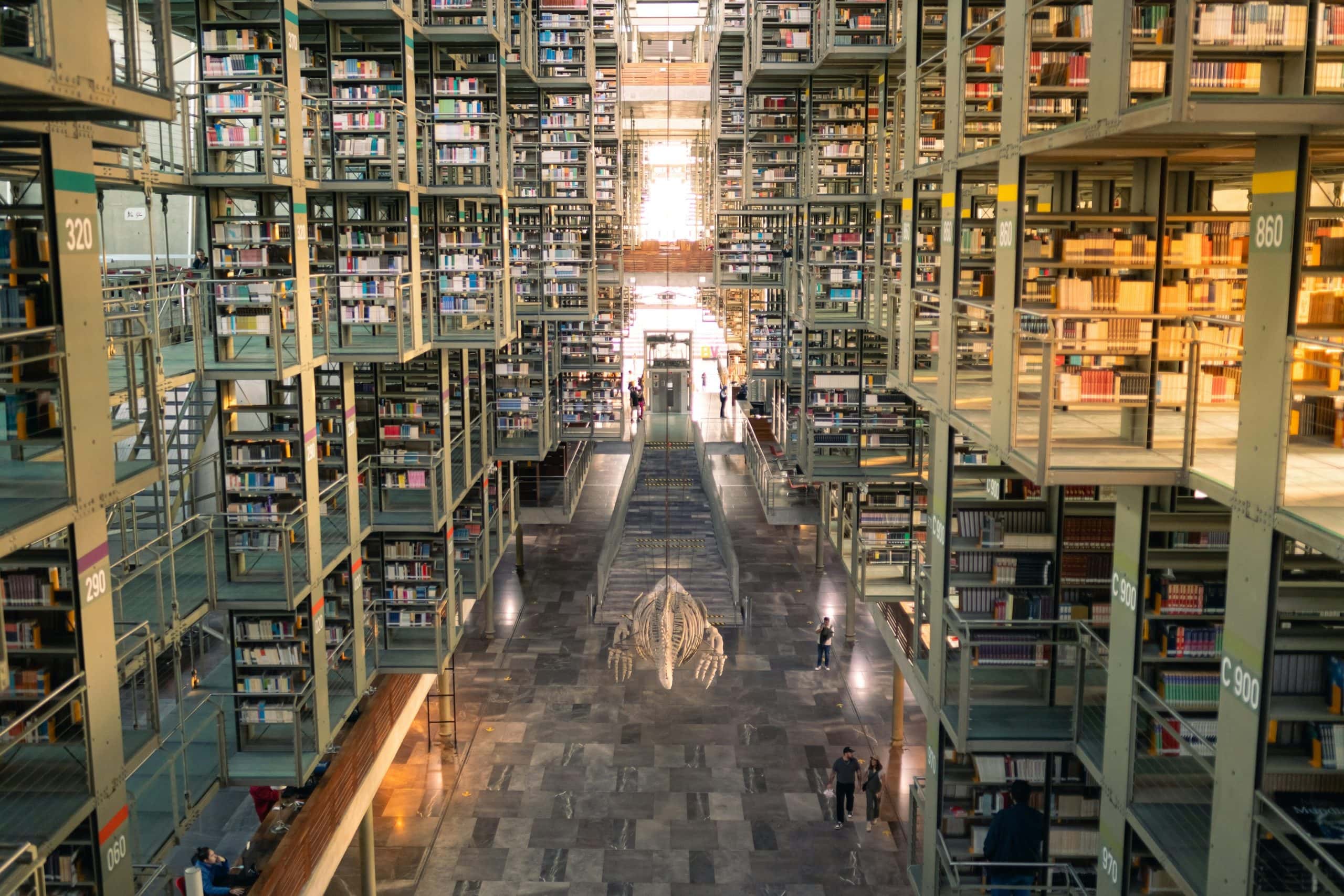 biblioteca_portada